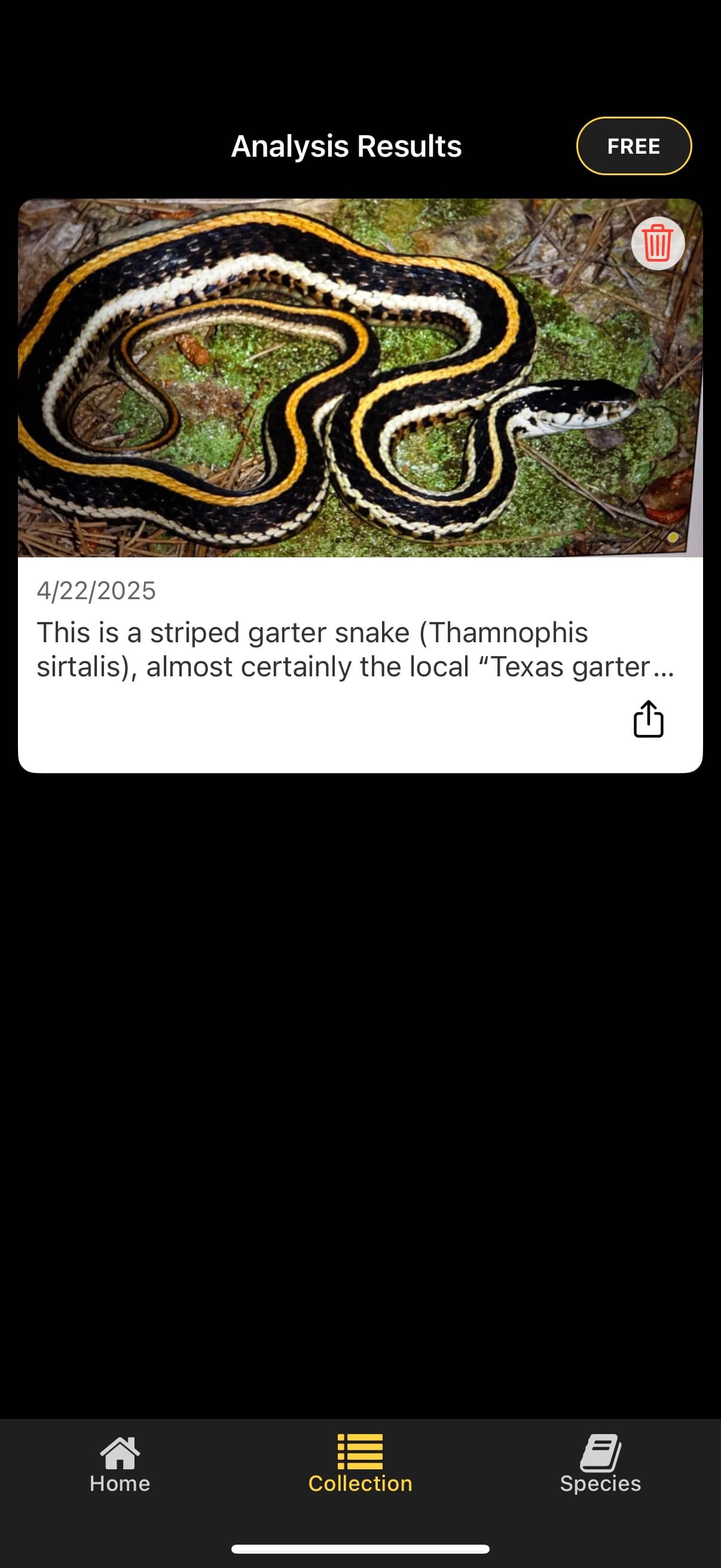 Snake ID App - Analysis Results